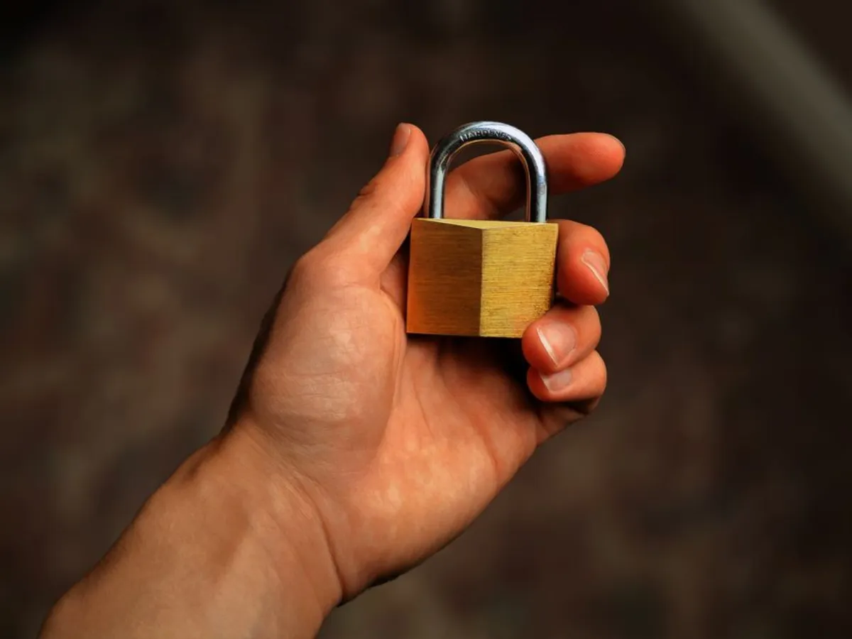 小黄片免费观看测评避坑清单